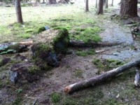 /album/fotogaleria/photo-12-jpg/